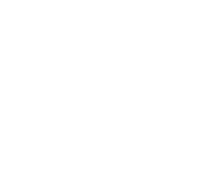 logo04_dritte-wahl-records.png